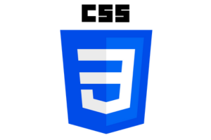 CSS 3 Logo